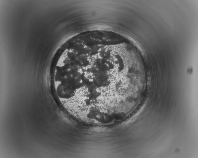 X0000102811117200809150945