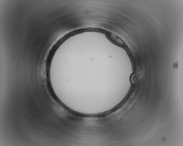 X0000102811118200809150945