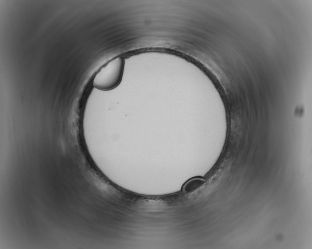 X0000102811119200809150945