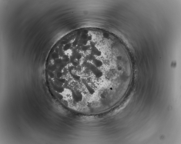 X0000102811121200809150945