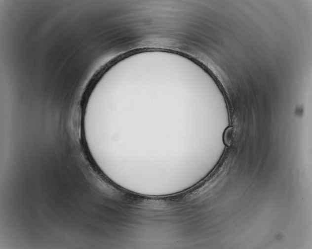 X0000102811123200809150945