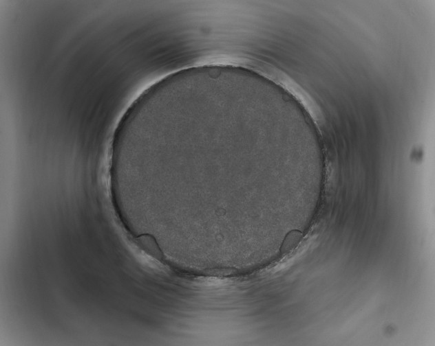 X0000102811124200809150945