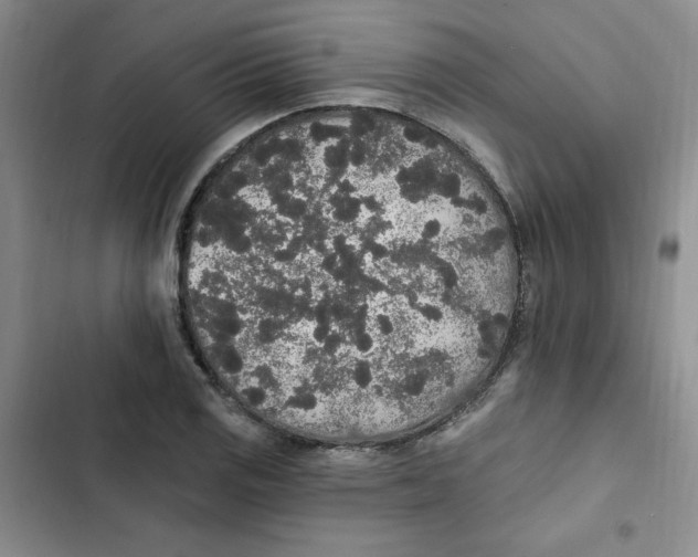 X0000102811125200809150945