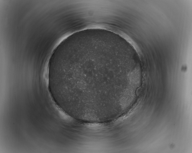 X0000102811127200809150945