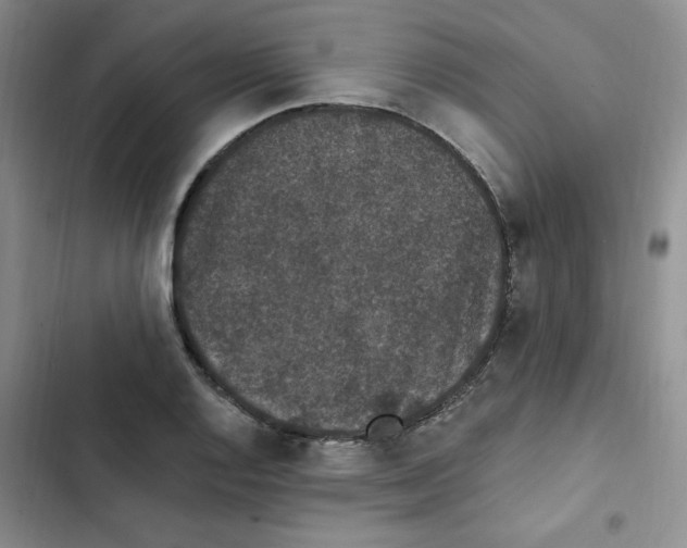 X0000102811128200809150945