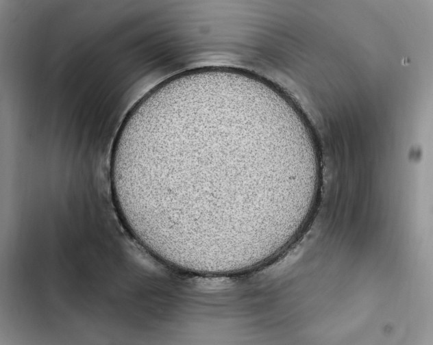 X0000102811129200809150946