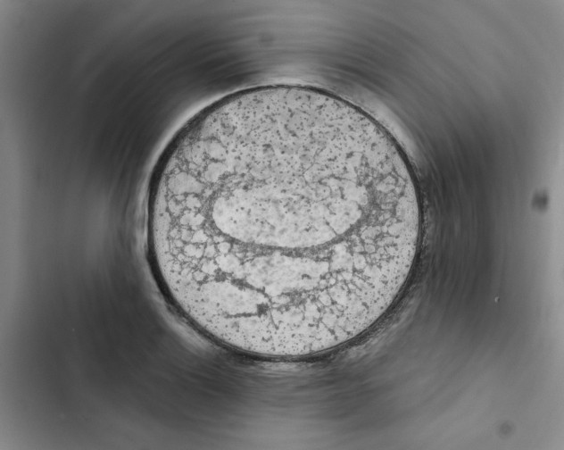 X0000102811132200809150946