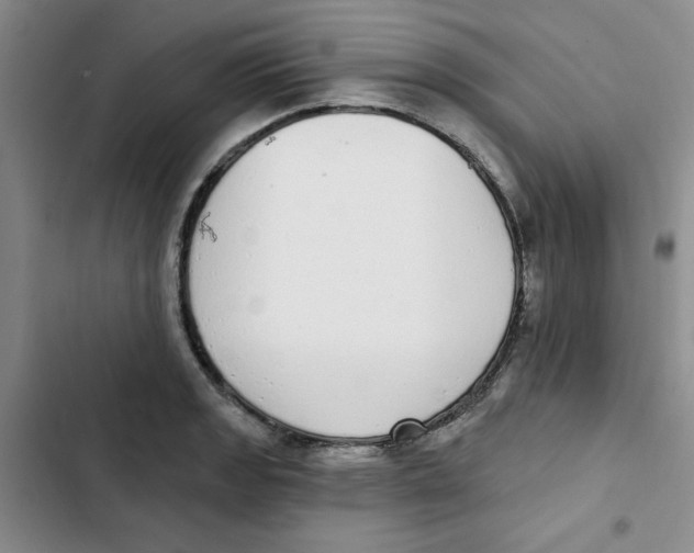 X0000102811133200809150946