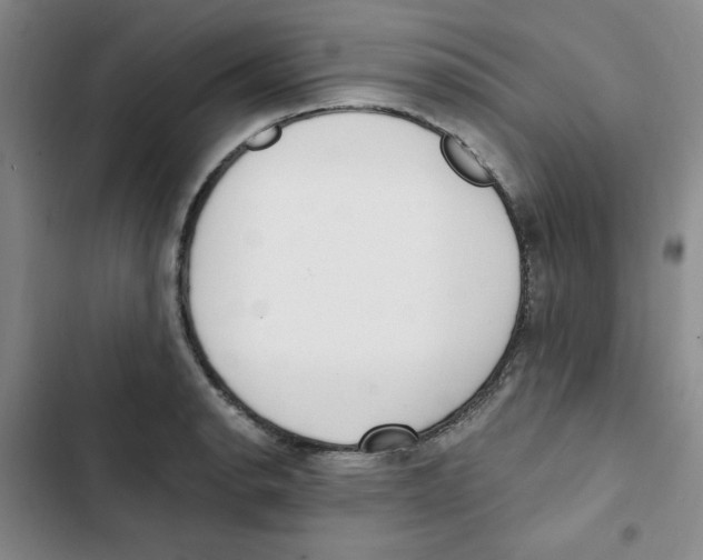 X0000102811134200809150946