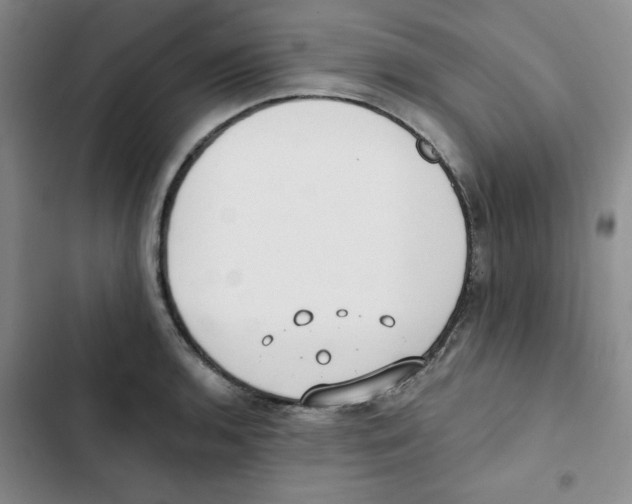 X0000102811136200809150946