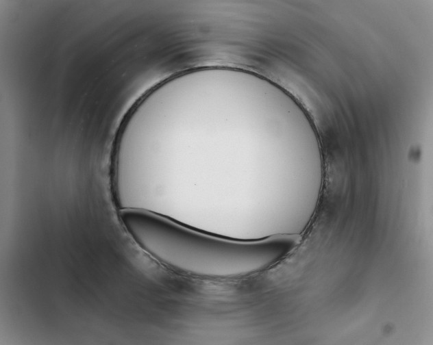 X0000102811138200809150946