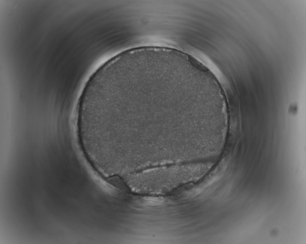 X0000102811144200809150946