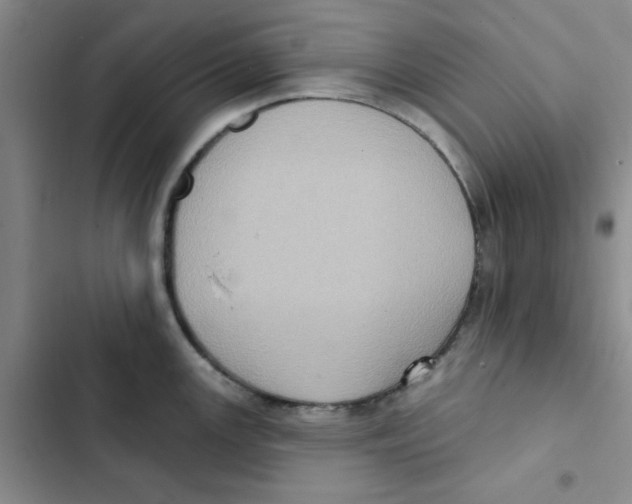 X0000102811147200809150946