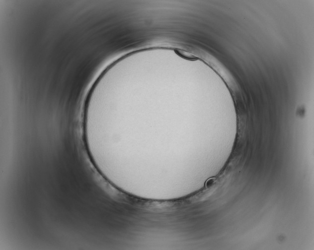 X0000102811148200809150946