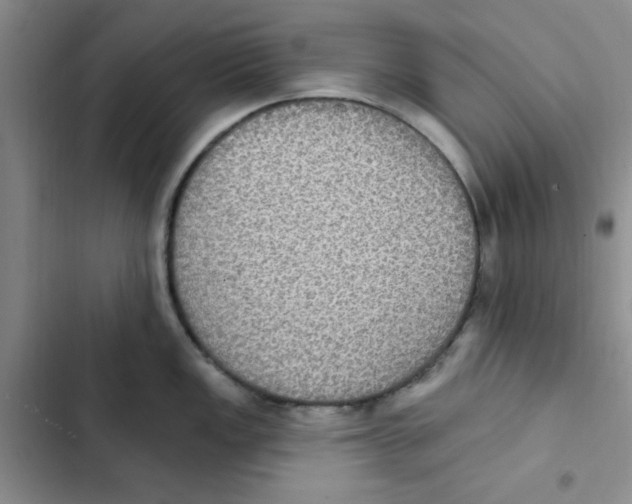 X0000102811149200809150946