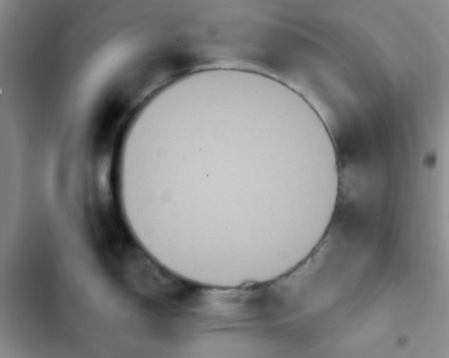 X0000102811150200809150946