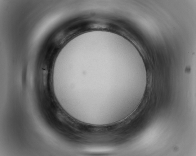 X0000102811151200809150946