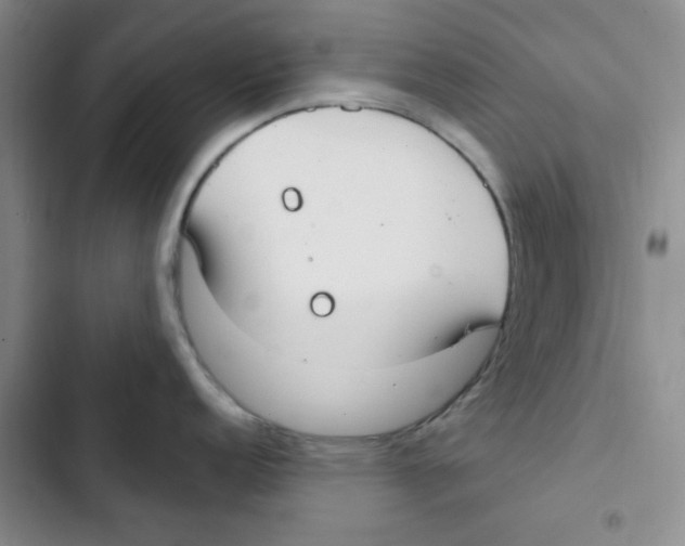 X0000102811152200809150946