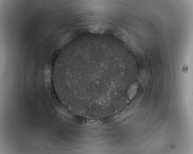 X0000102811154200809150945