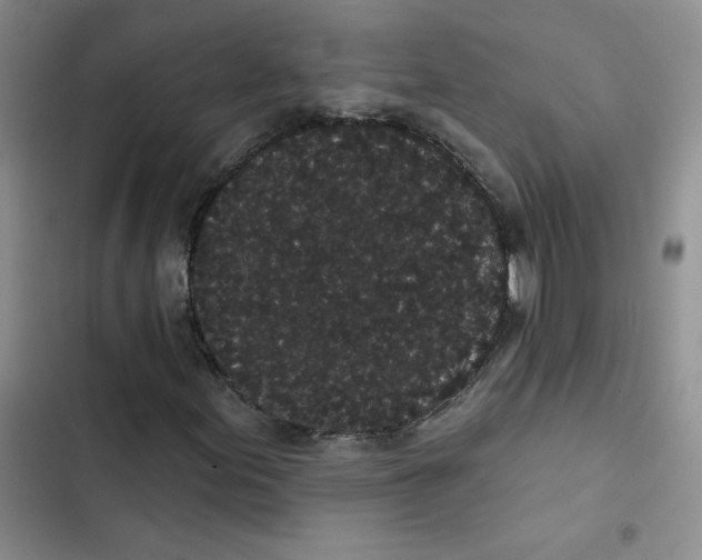 X0000102811155200809150945