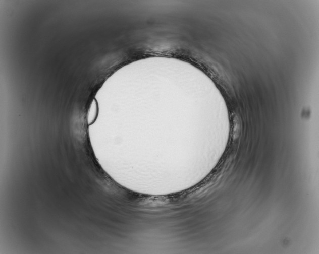 X0000102811156200809150945