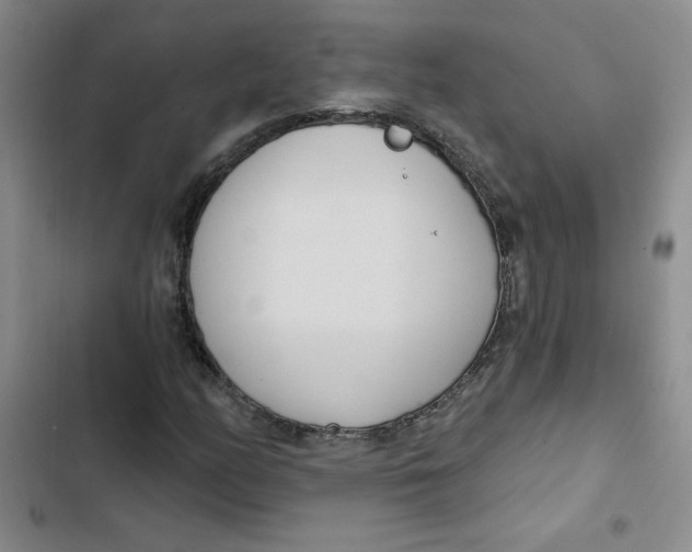 X0000102811158200809150945