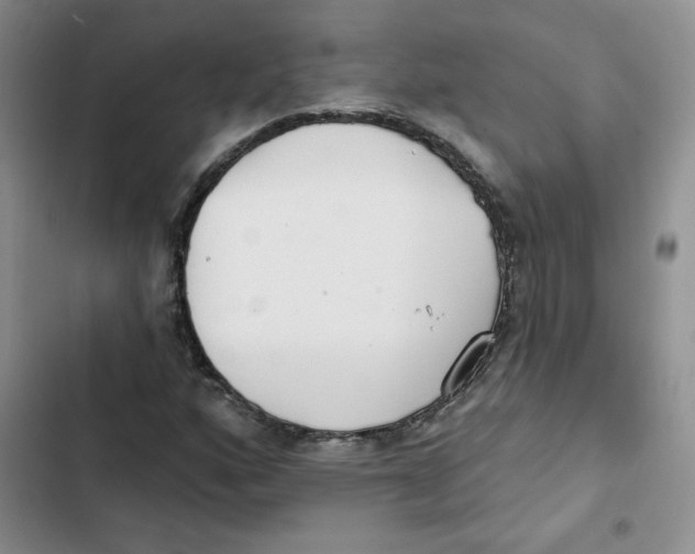 X0000102811160200809150945