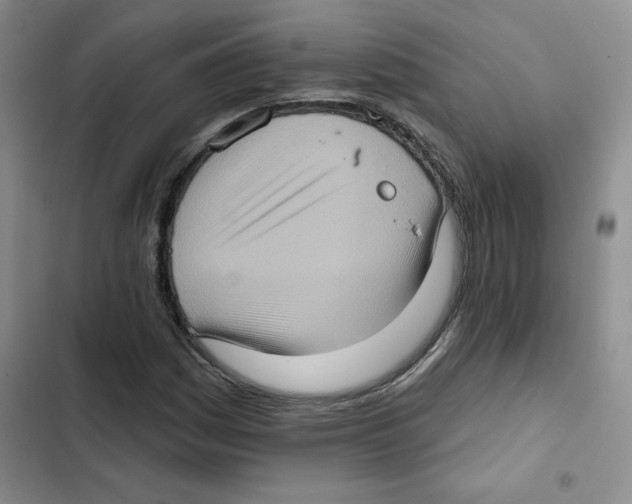 X0000102811161200809150945