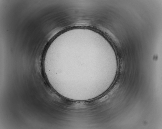 X0000102811162200809150945