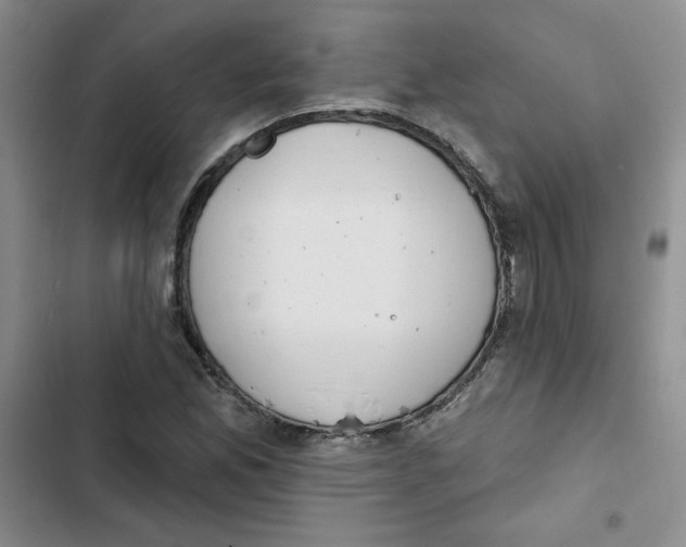 X0000102811165200809150945