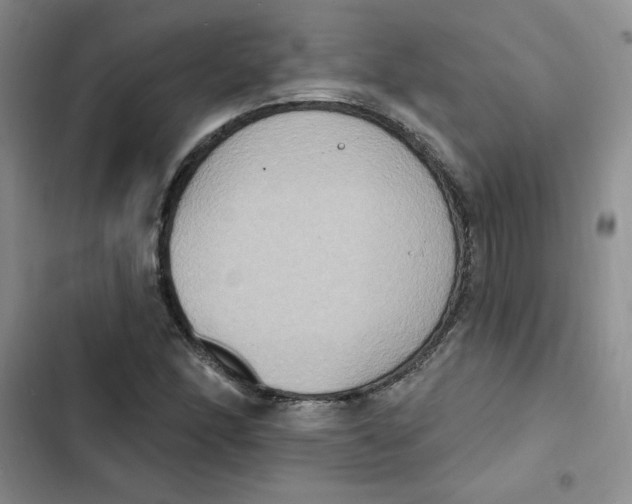 X0000102811166200809150945