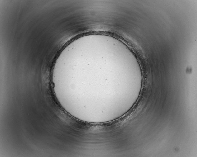 X0000102811169200809150945