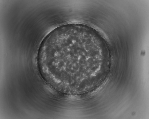 X0000102811170200809150945