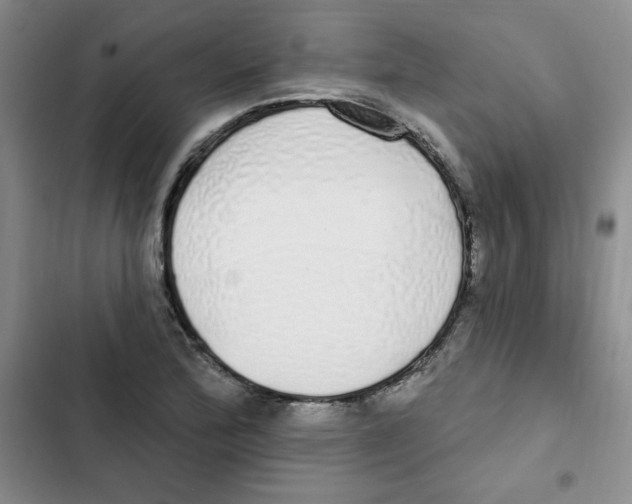 X0000102811172200809150945