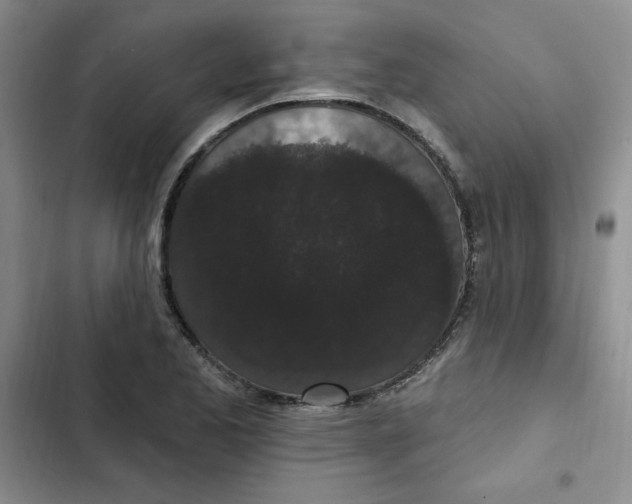 X0000102811173200809150945