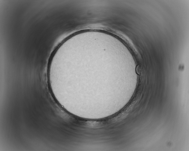 X0000102811176200809150945