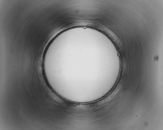 X0000102811178200809150945