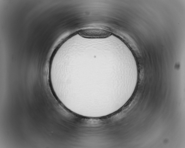 X0000102811180200809150945