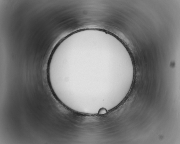 X0000102811181200809150945