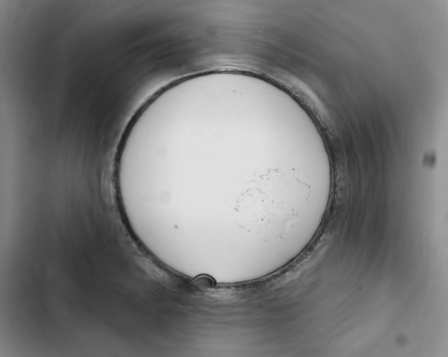 X0000102811182200809150945