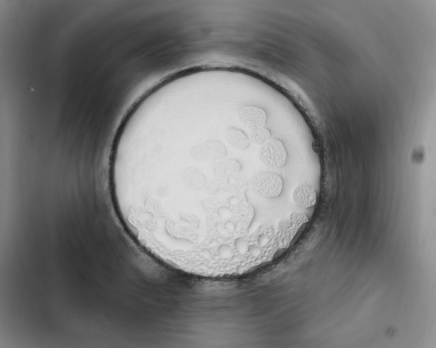 X0000102811183200809150945