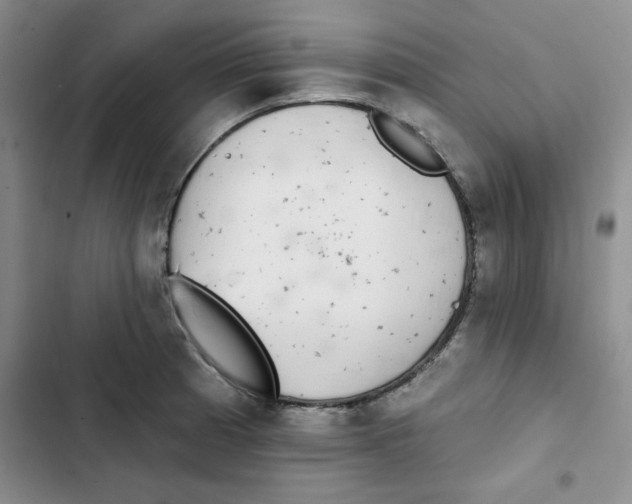 X0000102811185200809150945