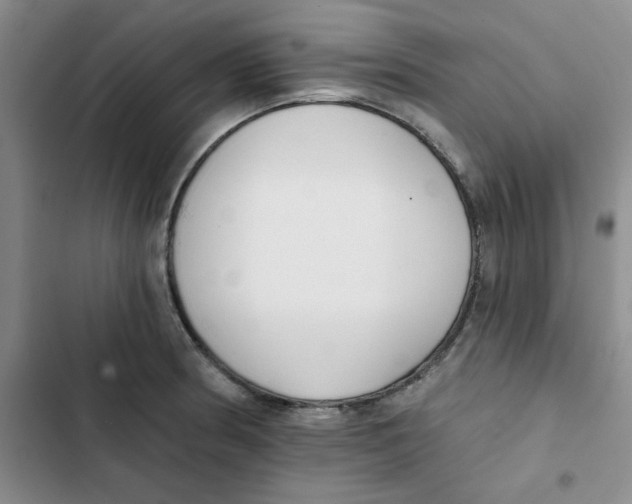 X0000102811186200809150945