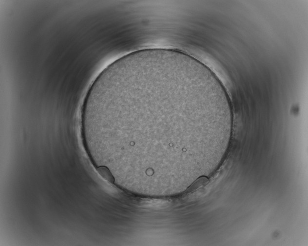 X0000102811187200809150945