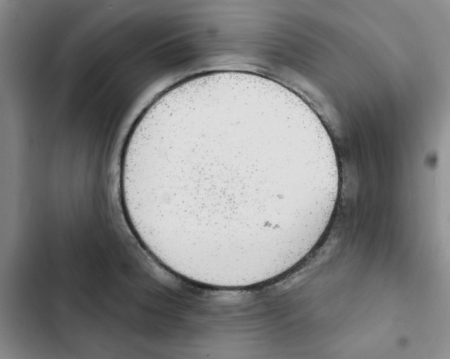 X0000102811188200809150945