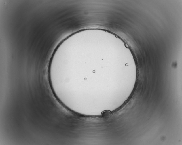 X0000102811189200809150945