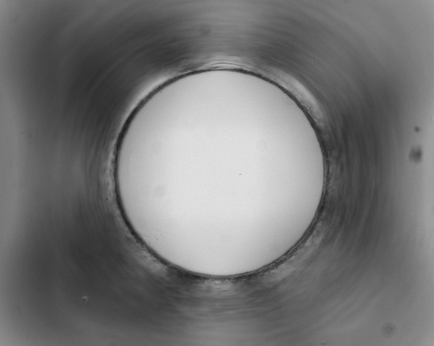 X0000102811190200809150945