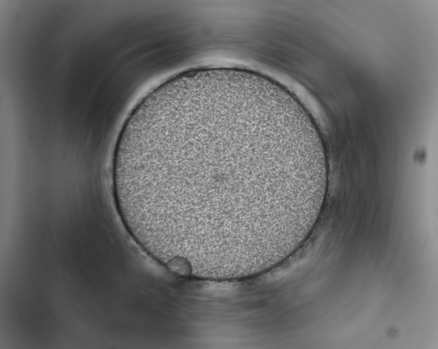 X0000102811191200809150945