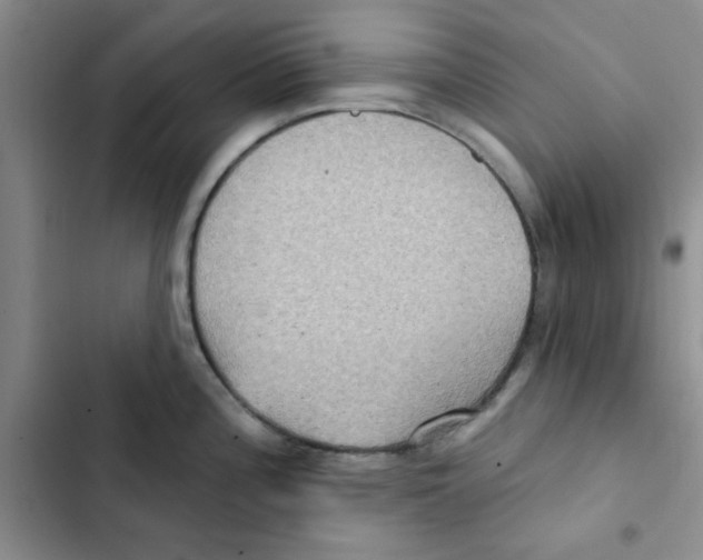 X0000102811196200809150945