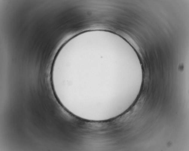 X0000102811197200809150945